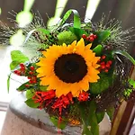 Bauernhof Koenig アパート ツヴィーゼル