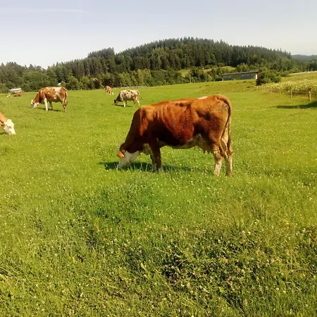 Bauernhof Koenig Appartamento Zwiesel