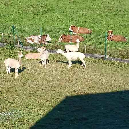 Bauernhof Koenig *