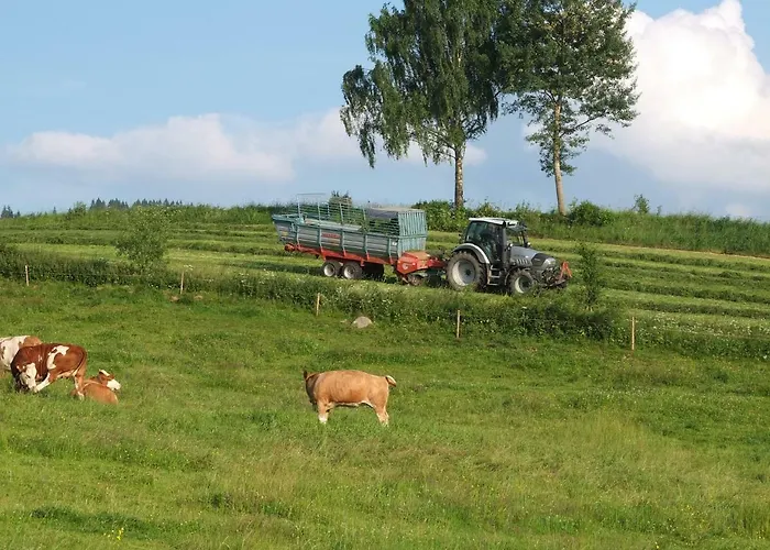 Bauernhof Koenig Appartamento Zwiesel